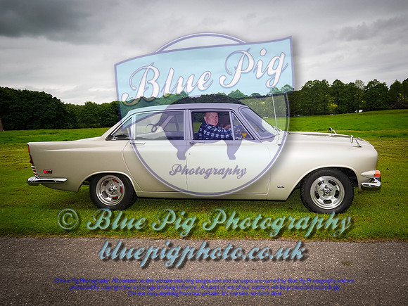 Blue Pig Photos-9