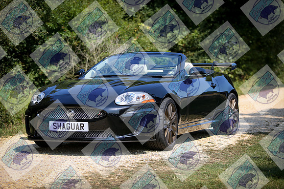 IMGM0235