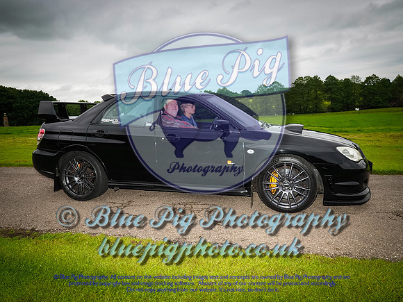 Blue Pig Photos-8