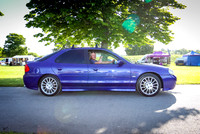 Blue Pig Photos-2