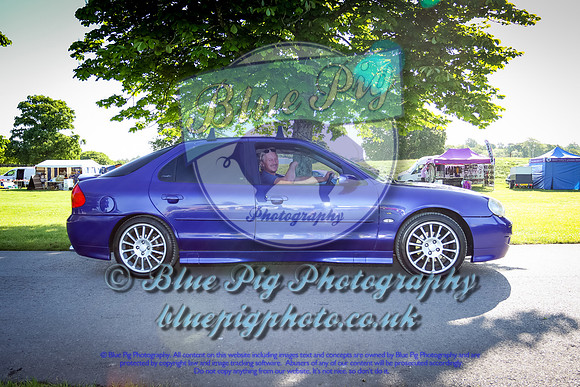 Blue Pig Photos-2