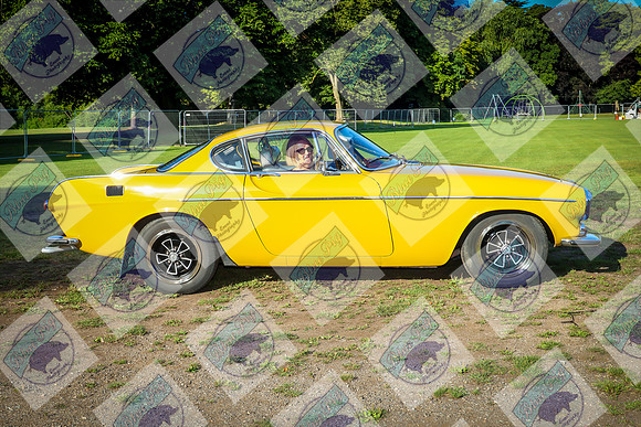 COG-0202-1