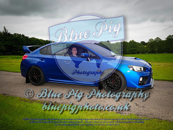 Blue Pig Photos-7