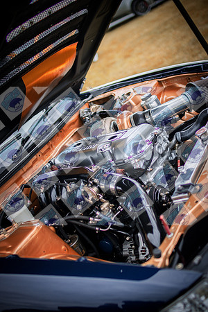 IMG_0295