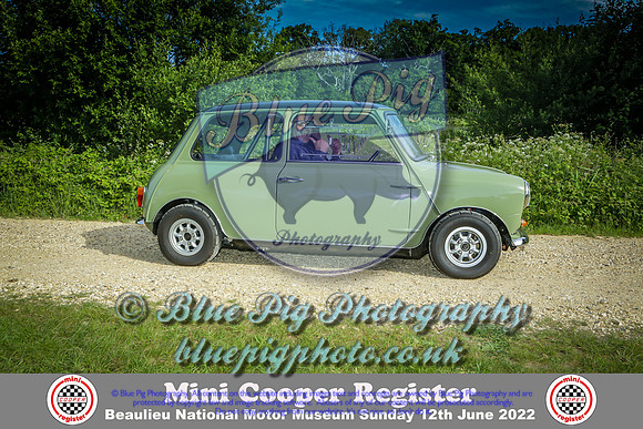 Blue Pig Photos-6-2