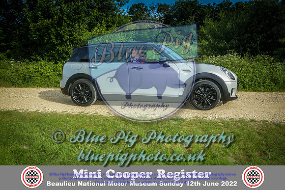 Blue Pig Photos-8-2