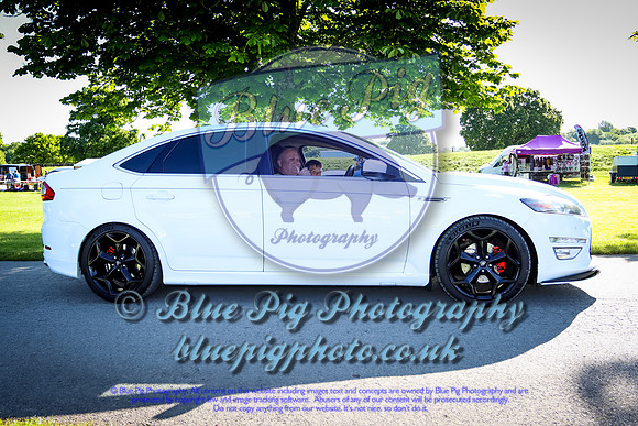 Blue Pig Photos-4