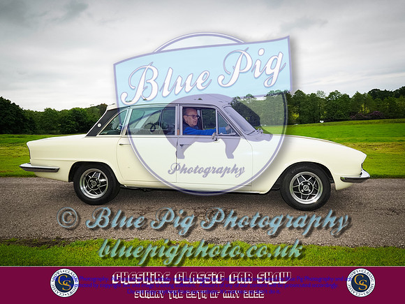 Blue Pig Photos-4-2