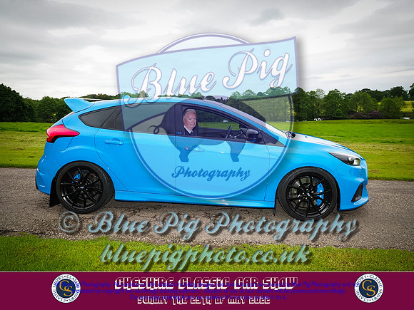 Blue Pig Photos-2-2